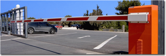 002_banner.gif