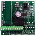 rec-3003-2-003.jpg